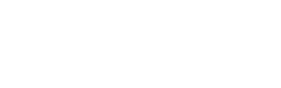 Mendes Mota