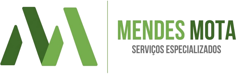Mendes Mota